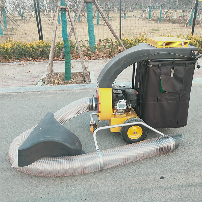 Penyedot Daun Mini Bertenaga B - Power Tools Vacuum ulasan dan harga
