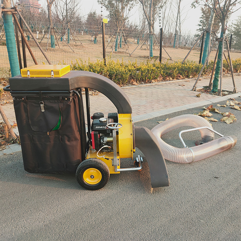 Penyedot Daun Mini Bertenaga B - Power Tools Vacuum ulasan dan harga